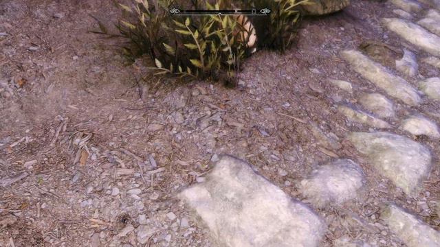 An Hour of Gameplay - Morgana the Druid - Pt 21 смотреть онлайн