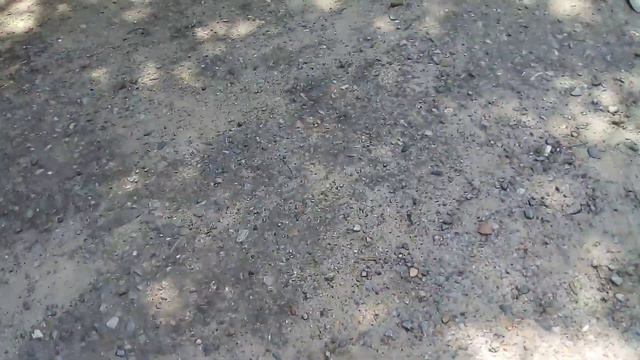 Саша рассказывает Что можно сделать с бездомной кошкой смотреть онлайн