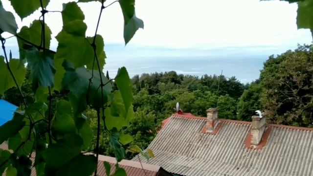 Отдых на Черном море. Снять жильё в Лазаревском. смотреть онлайн