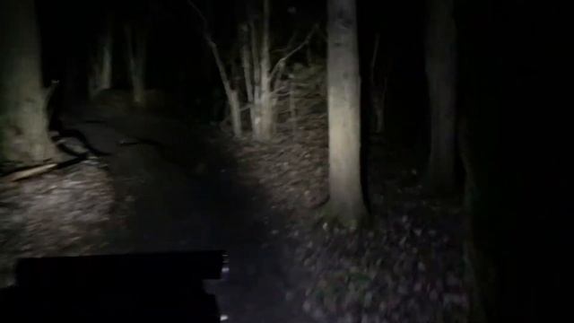 Ночные покатушки по лесу на квадрике смотреть онлайн