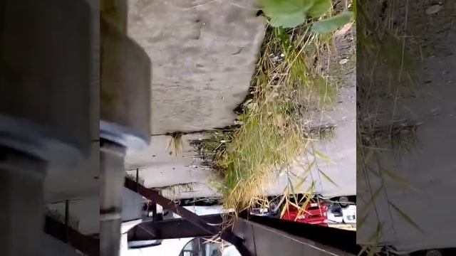 Распредвал Мерседес Актрос смотреть онлайн