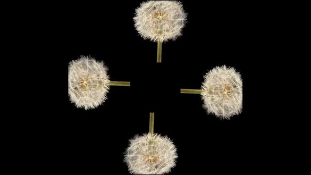 Видео для 3Д пирамиды. Голограмма из телефона смотреть онлайн