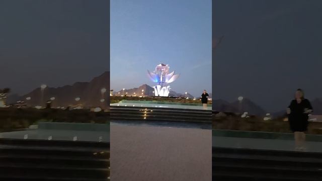 Лев Васильев. Юлия Завальная. обзорная экскурсия по SHARM EL SHEIKH 3 декабря 2023 год. смотреть онлайн