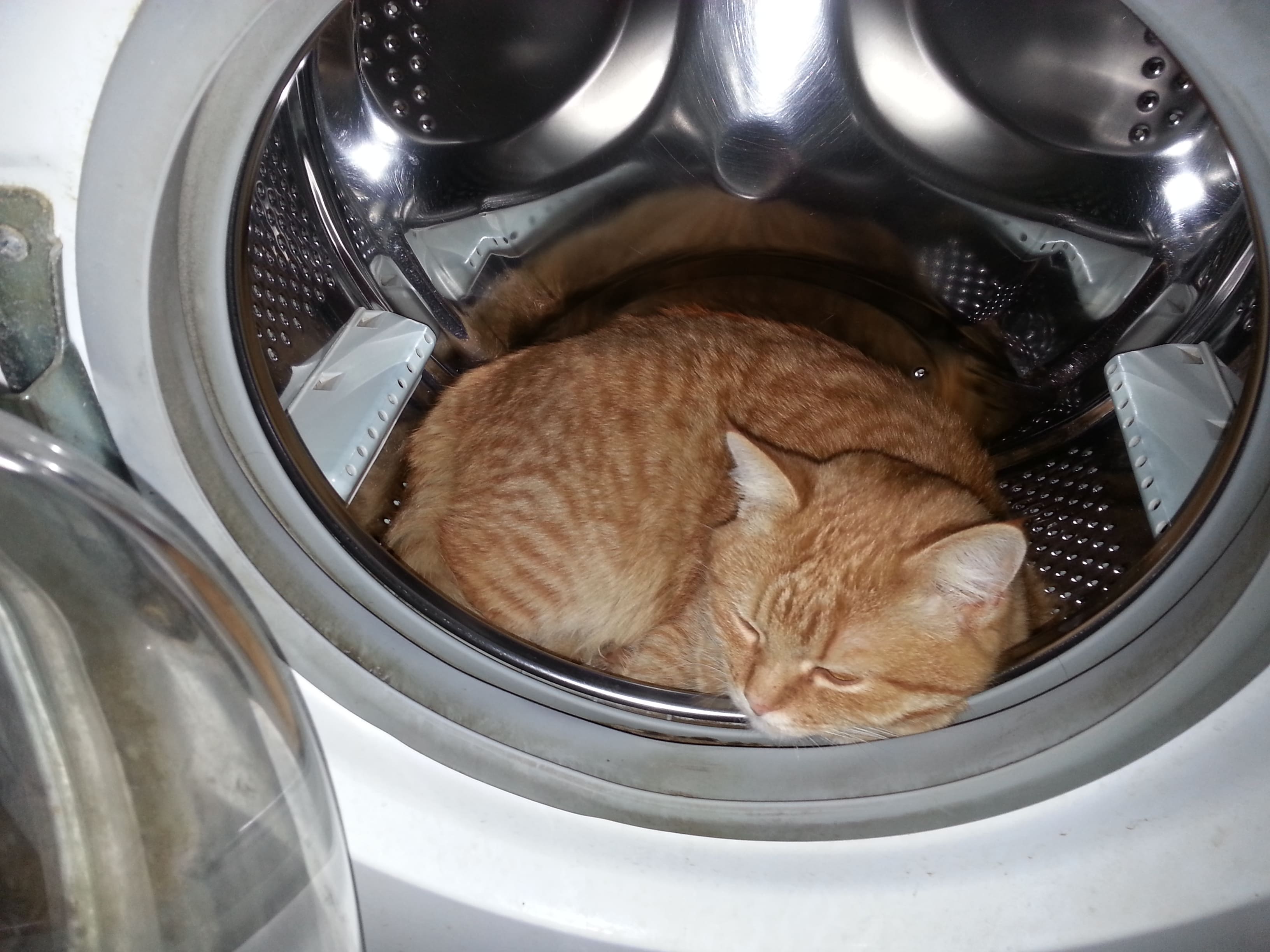 Мишка смотреть онлайн