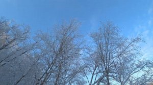 Рождествено, к плотине.