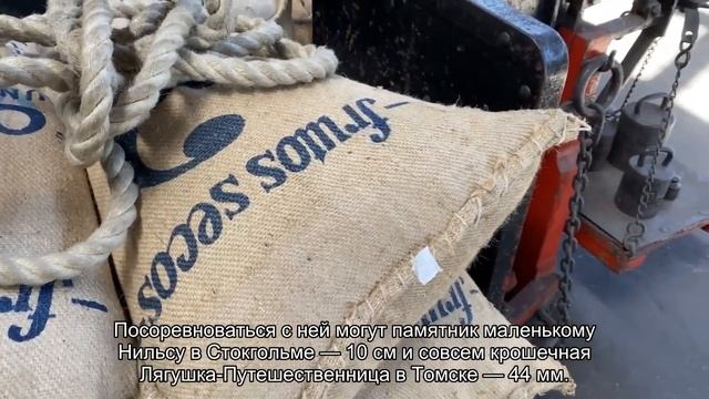 О Чижике-пыжике в Санкт-Петербурге: история, адрес, где находится на карте смотреть онлайн