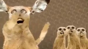 Песня Марио хи Марио ху всем надо посмотреть!!!