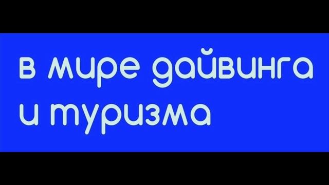 16. Соломоновы острова: приключения на любой вкус смотреть онлайн