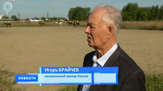 Искусство верховой езды. Как развивается конный спорт в Новосибирской области? смотреть онлайн