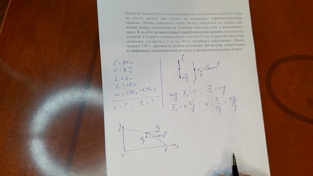 Белка летяга. Динамика. Решение задач смотреть онлайн