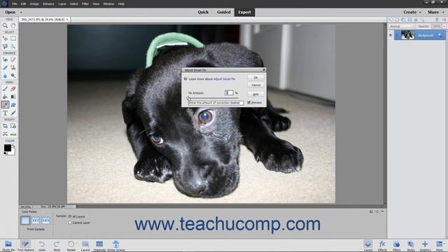 Photoshop Elements 2021 Tutorial Adjust Smart Fix Adobe Training смотреть онлайн