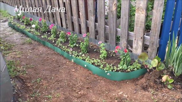 Сезон 1 Серия 3 Первые неприятности на даче смотреть онлайн