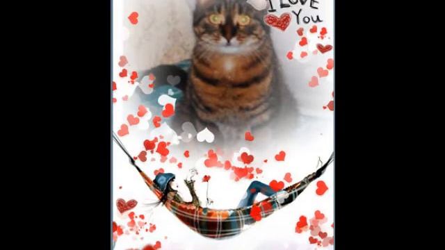 Мост Радуги.Памяти Любимой Девочки. смотреть онлайн