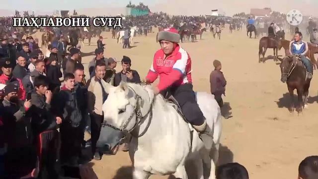 Бузкаши улок даҳяк Истаравшан Кисми 1 28.11.2021 ✓ Улок Koʻpkari Dahyak Istaravshan қисми 1