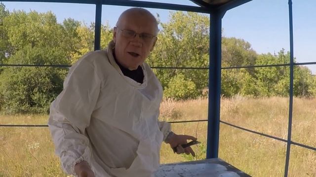 Замена маток в августе Выход маток в августе смотреть онлайн