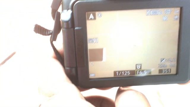 How to shoot birds with Nikon B700. Part 1. смотреть онлайн