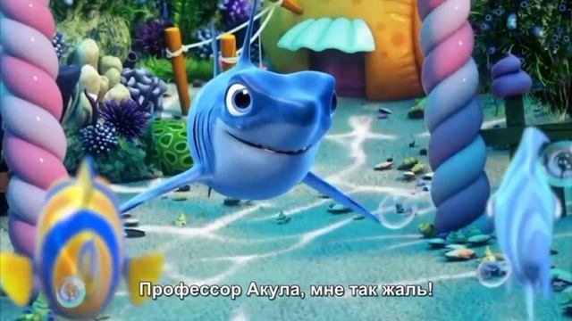 айм со сори мстр шарк ?