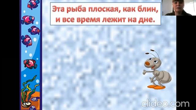Рыбы и их различия Кто такие рыбы? 1 класс смотреть онлайн