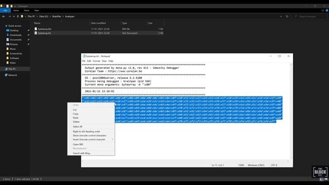 Brainpan1 Walkthrough | Buffer Overflow | Vulnhub | TryHackMe | OSCP Practice смотреть онлайн