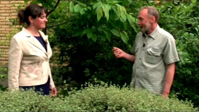 Пятна на листьях смотреть онлайн