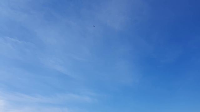 Ardupilot - Free fall with motors turned off (with failed recovery) смотреть онлайн