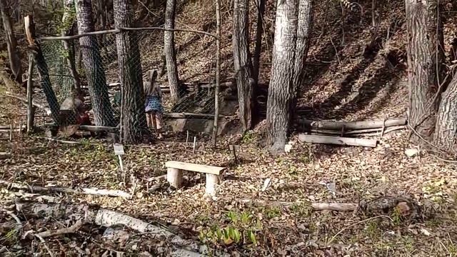 Природно-познавательный парк Николая Кодратьевича в Крыму смотреть онлайн