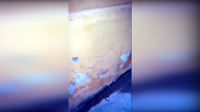 Нуцал и Итера как мы учились смотреть онлайн