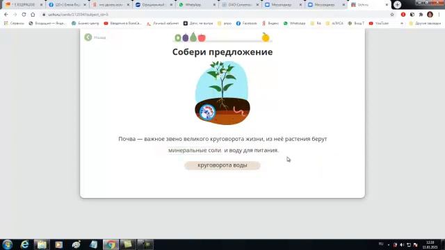 4 кл. Луговые и болотные почвы. Значение почвы. Почвы России. Природа. Окружающий мир. Ридель Алиса смотреть онлайн