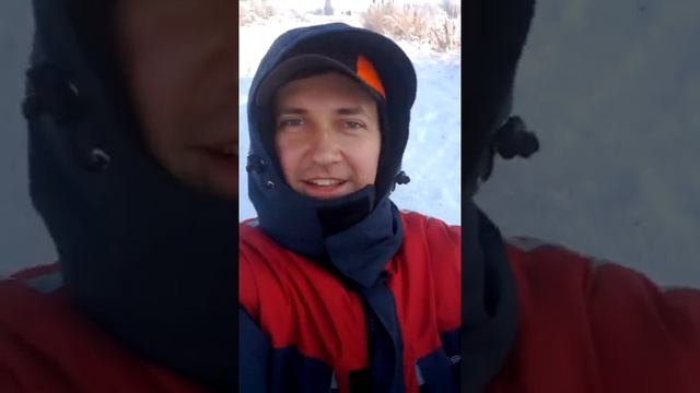 Хаски Дей в упряжке едим дальше смотреть онлайн