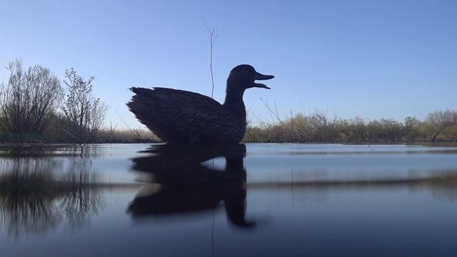 Подсадная утка #2 Non stop смотреть онлайн