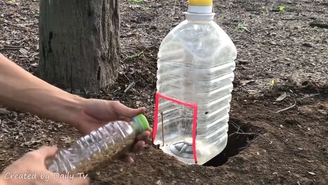 Как создать легкую ловушку для птиц, используя большую пластиковую бутылку? смотреть онлайн