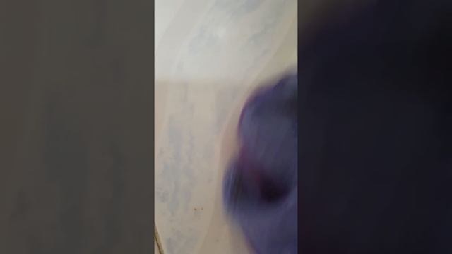 Отмыла кафель возле печки смотреть онлайн