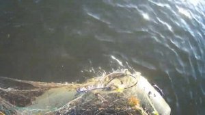 поздняя осень вторая проверка