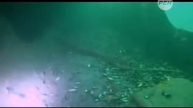 Русское оружие Тополь М. Секретный репортаж смотреть онлайн