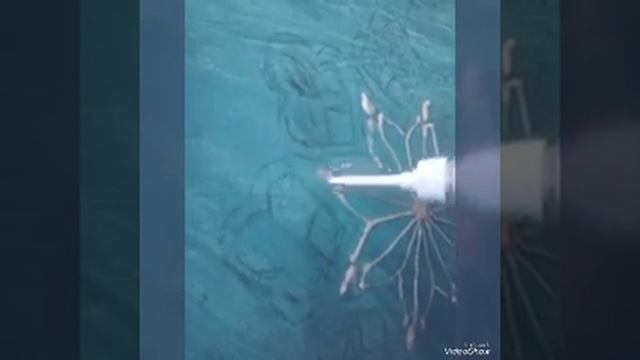 как нарисовать снежинку или мандалу! Видео релакс. смотреть онлайн