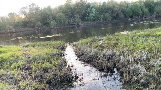 Прогулка вдоль реки Москва 2023 смотреть онлайн