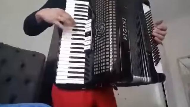 ACORDEON PIGINI смотреть онлайн