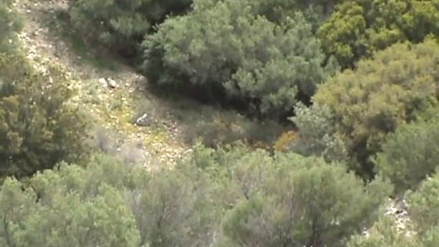 19-04-2015 смотреть онлайн