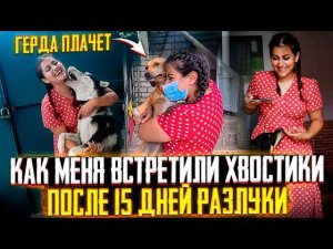 Как встретили мои Подобрыши меня с Москвы Начался ХаосЧетырем подобрышам с Леса стало плохо