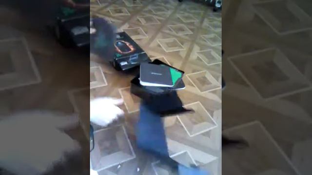 Razer abyssus смотреть онлайн