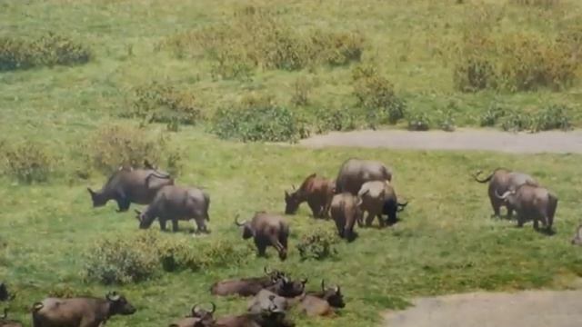 Kenya Tanzania Kilimanjaro- Www.poznajeswiat.eu