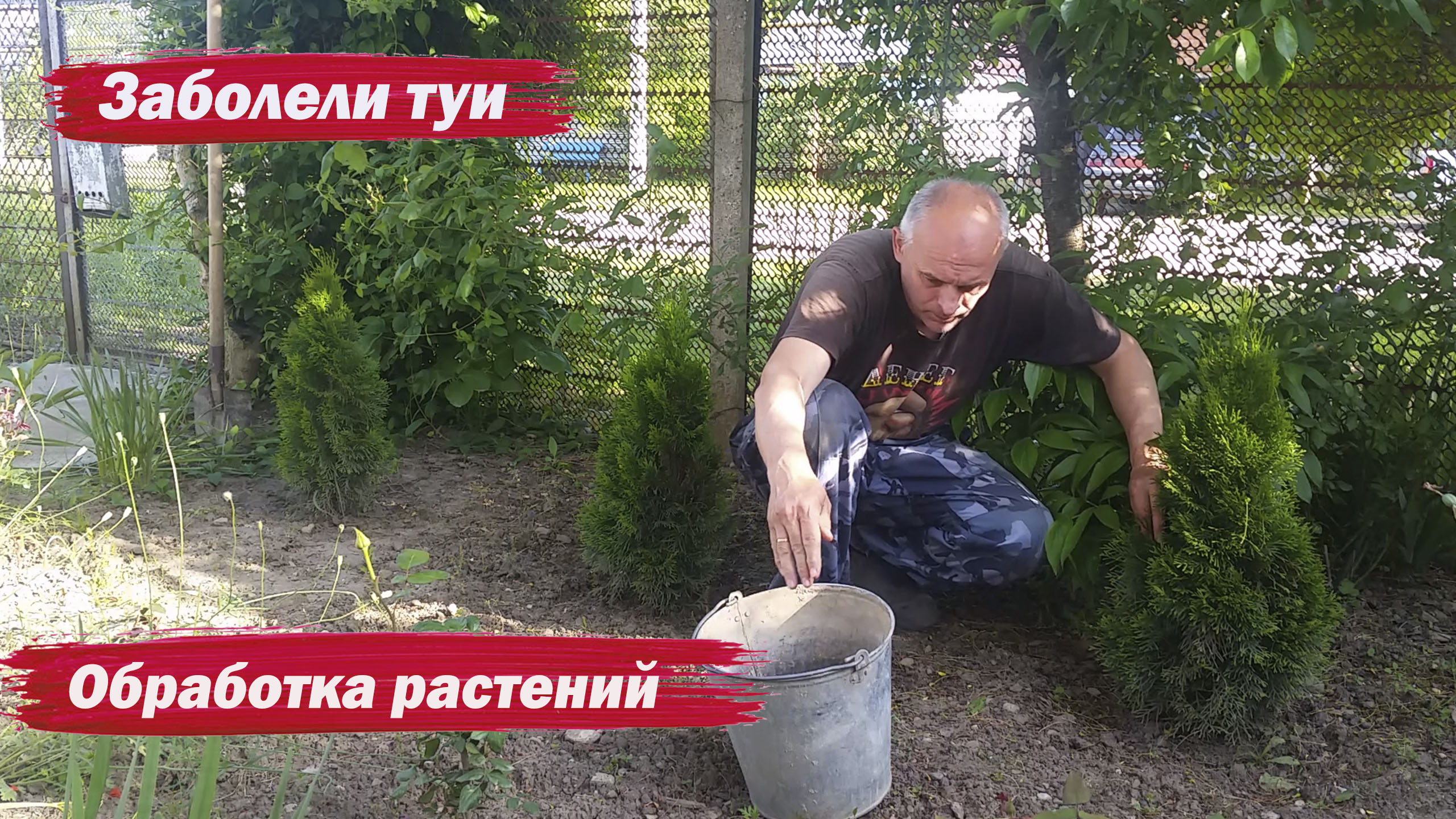 Обработка растений смотреть онлайн