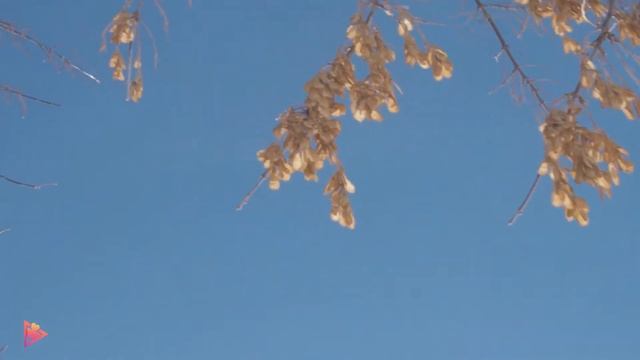 Мужчины Агаповки рассказали всё, что они думают о международном женском дне и о женщинах в частност смотреть онлайн