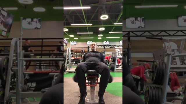 Д5 отведения с гантелями сидя на наклонной смотреть онлайн