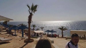 Grand Oasis Resort. Территория пляжа. Египет. Шарм Эль Шейх
