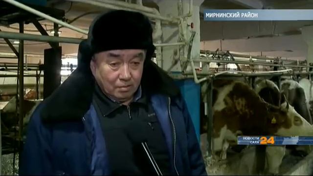 Совхоз «Новый» в Мирнинском районе по праву считается одним из лучших сельских хозяйств республики смотреть онлайн