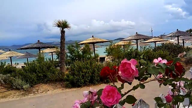 Рай цветов в Хорватии. http://tebedohod.online/390800 смотреть онлайн