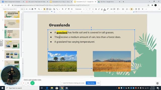 Ecosystems 5 L 2 1 Google Slides смотреть онлайн