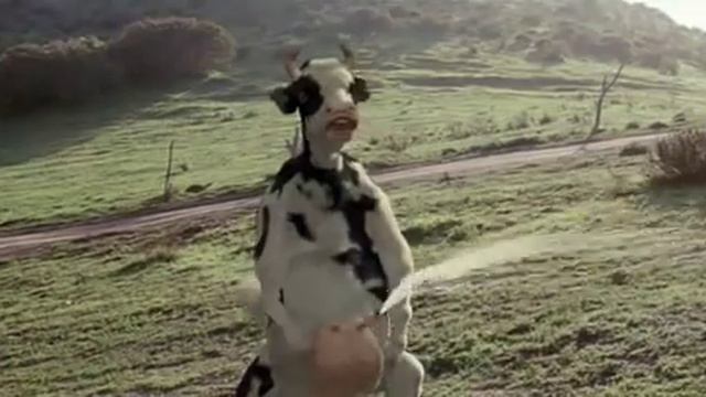 Бой против коровы-прикол смотреть онлайн