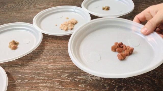 Кот Амур и Много кошачьего корма , ч.2 смотреть онлайн